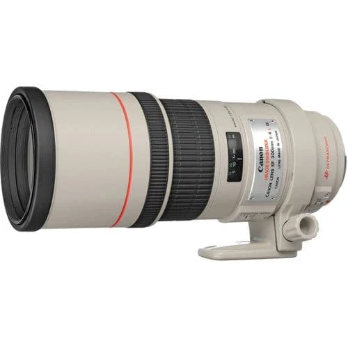 Canon EF 300mm f/4L IS USM Lens-01