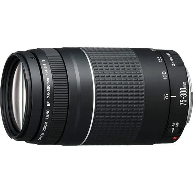 Canon EF 75-300mm f/4-5.6 III Lens-01